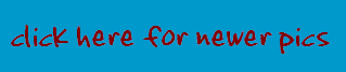 Click for Newer Pictures