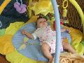 playgym_09.jpg