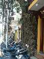 hanoi8.jpg